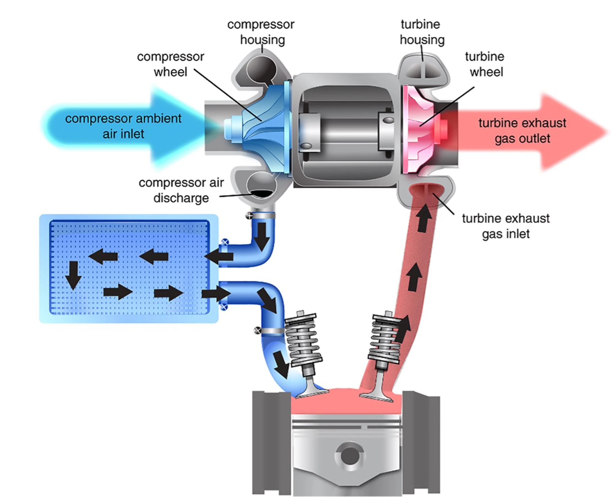 Standard Solution Turbo Infographic