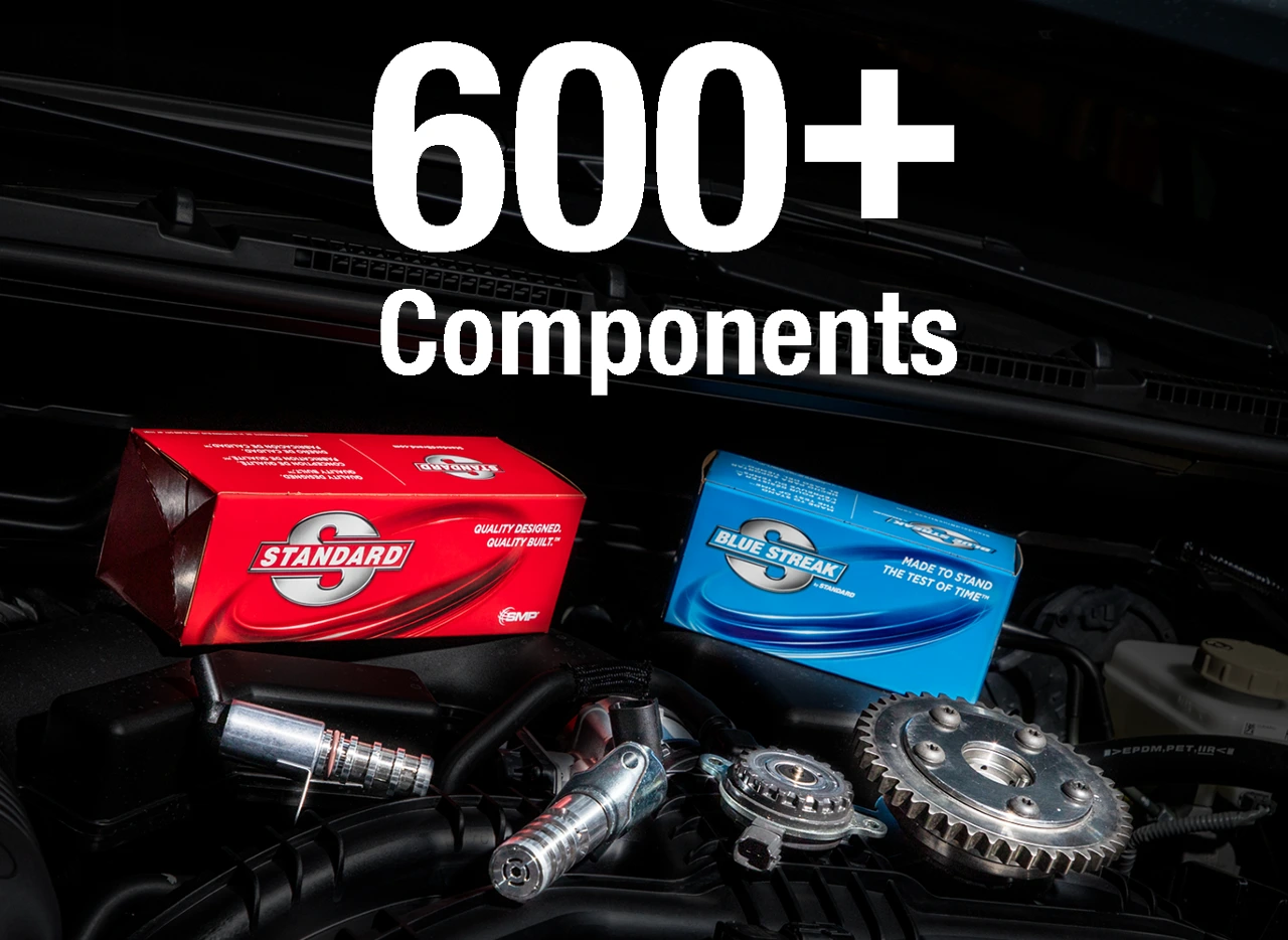 VVT Coverage