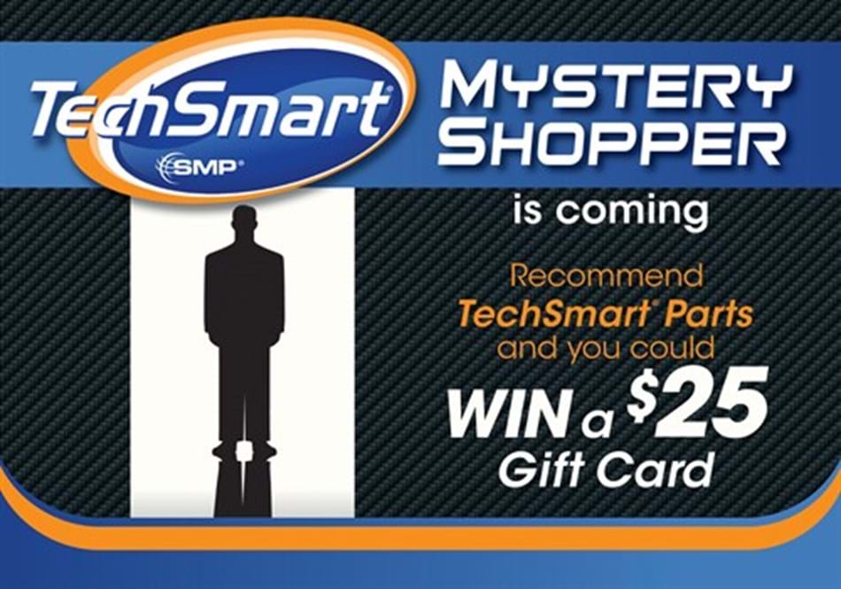 TechSmart<sup>®</sup> Mystery Shopper Promotion Hits the Streets